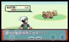 口袋精灵红宝石攻略图文
