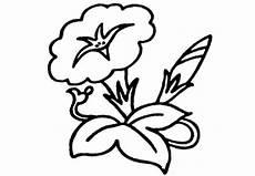 植物简笔画图片大全大图