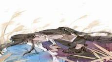 《将进酒》沈兰舟&萧驰野