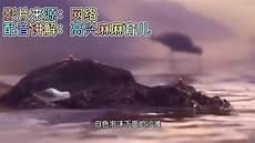 鹬动画