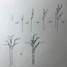 大树简笔画 树干多枝