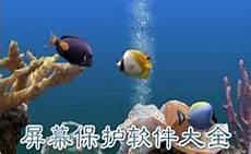 动态桌面壁纸电脑