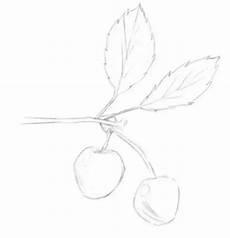 简单蔬菜素描图片大全